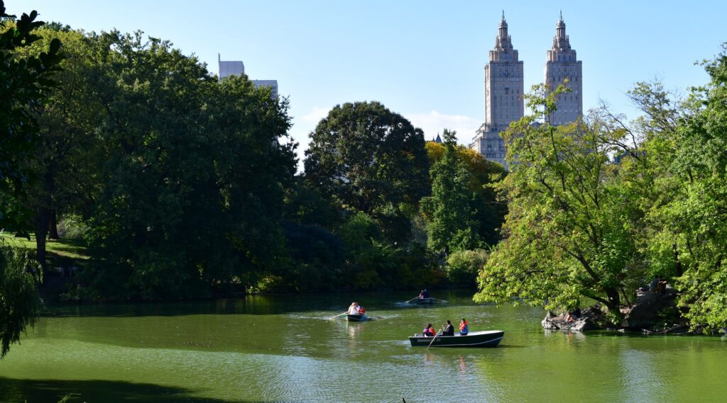 Souccot fait de New York un terrain de jeu pour les Juifs locaux