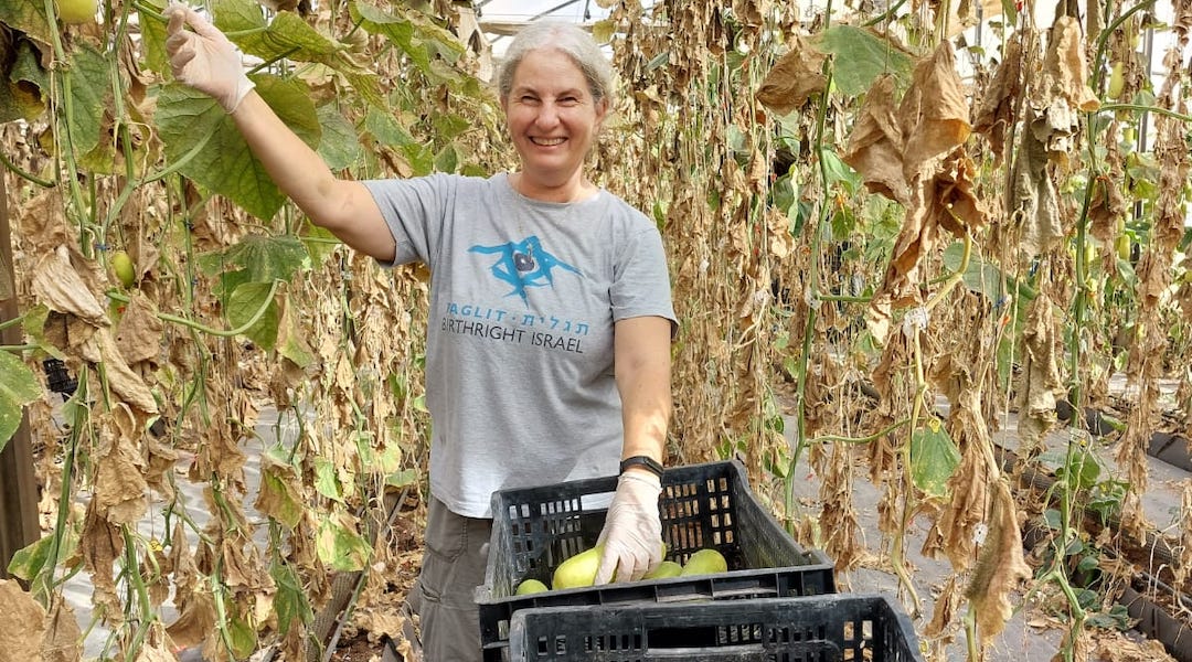 Sara Goldsmith, who lives on a kibbutz in Israel's north. volunteering on a farm in southern Israel. (Courtesy of Sara Goldsmith)