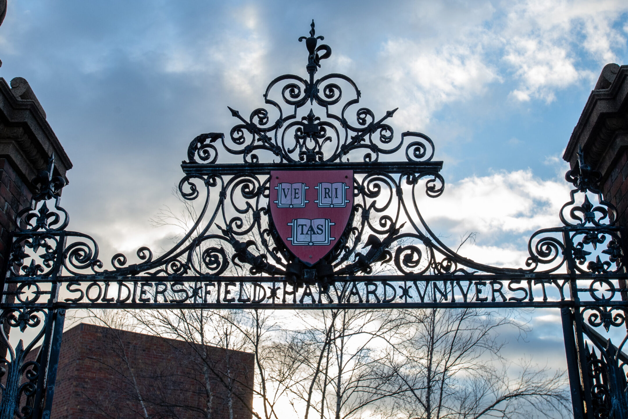 Harvard déclare qu'elle ne prendra plus position sur de nombreuses questions, 8 mois après avoir attisé les tensions avec les déclarations Israël-Gaza