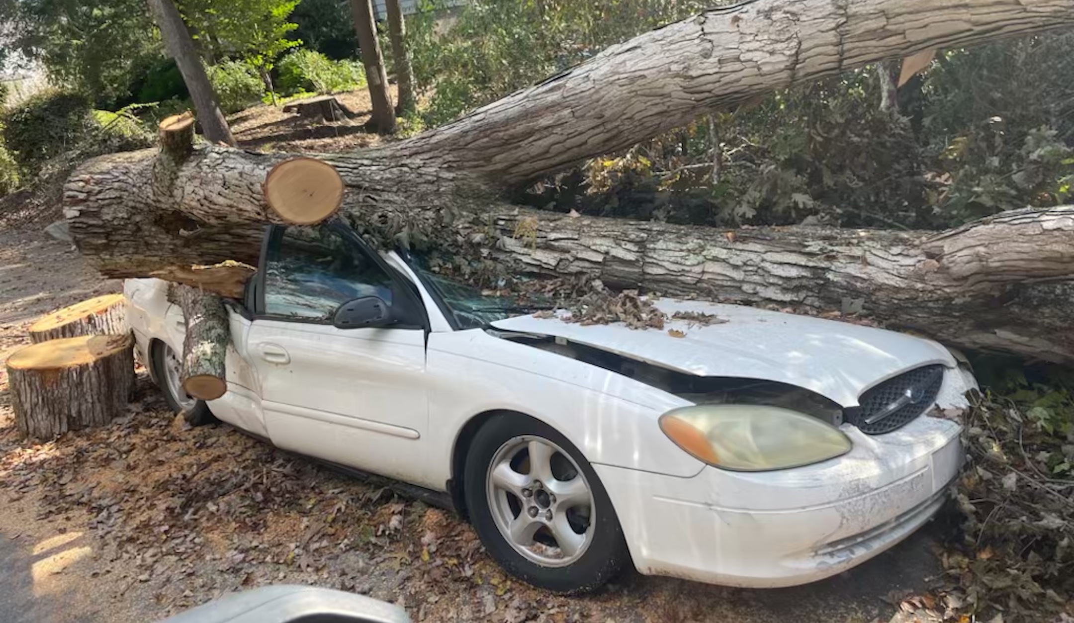 Construire une soucca n’a pas de sens cette année à Asheville. Mais nous pouvons déjà voir les étoiles.